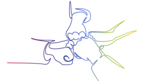 Waarmee kunnen wij u van dienst zijn?