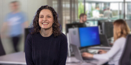 Your job as a software developer