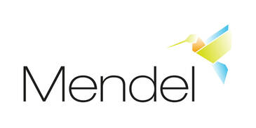 Mendel Verlag