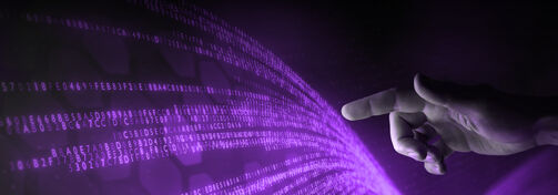 Elemente des Stammdaten-Management