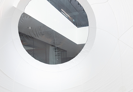 A whale makes its global debut