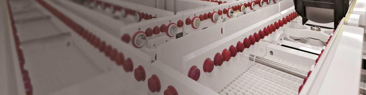 Infineon: Efficient freight control and shipping of wafers & chips