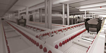 Infineon: Efficient freight control and shipping of wafers & chips