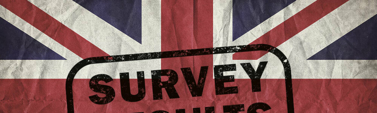 Brexit survey results: UK business pulse