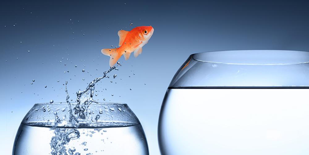 SAP S/4HANA® - Sprung in die Zukunft?