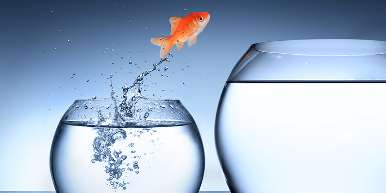 The customer runs your business: do you have visibility?