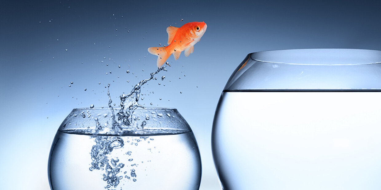 SAP S/4HANA® - Sprung in die Zukunft?