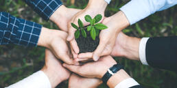 AEB and gryn: Partnership for more sustainability