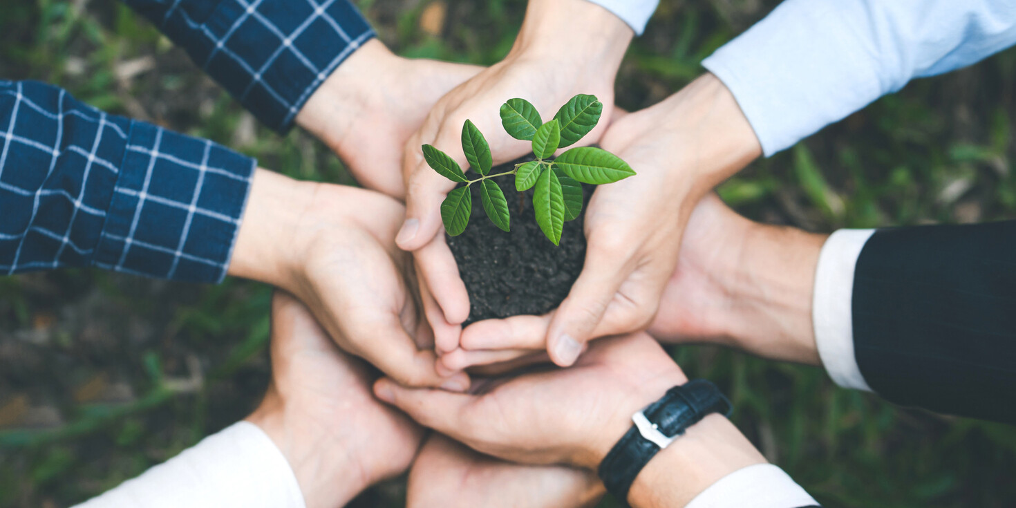AEB and gryn: Partnership for more sustainability