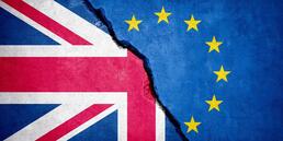 &quot;Wir stehen hinter jeder unserer Zollanmeldungen&quot;