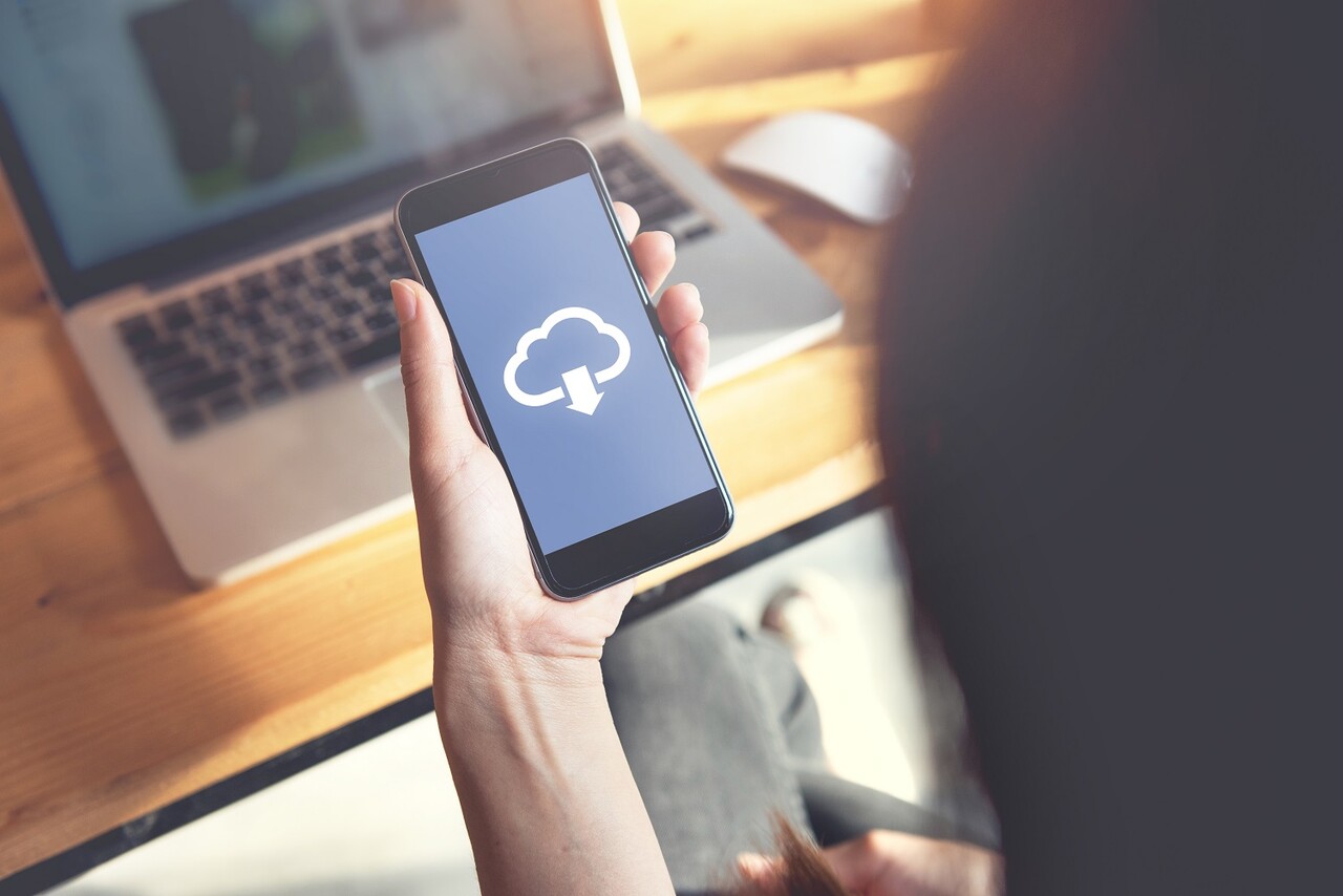 CHIEF CDS import declaration software UK: Efficiency in the cloud