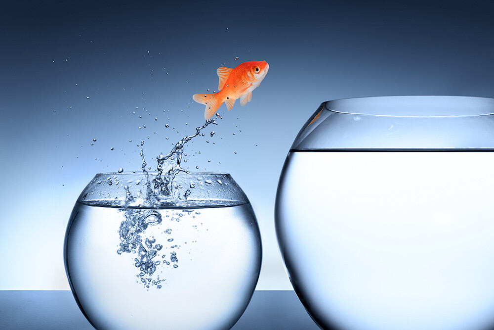 SAP S/4HANA® - Sprung in die Zukunft?