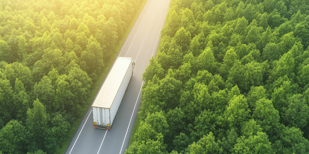 "We are building a decarbonization network around the world."