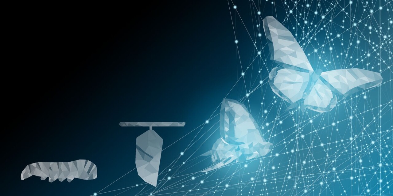 SAP S/4HANA<sup><sup>®</sup></sup> transformation in customs - with add-ons
