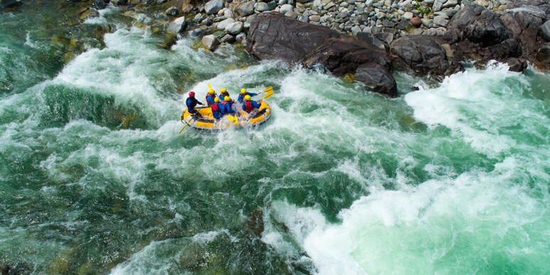 How to future-proof your global trade organization