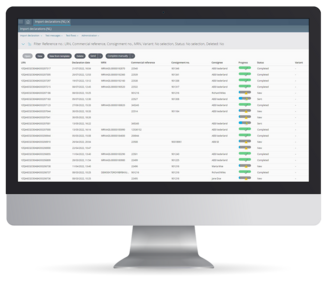 Import declarations in the Netherlands with Import Filing: DMS from AEB