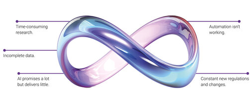 Issues of a customs process