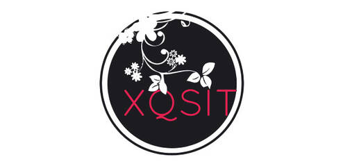 XQSIT LIMITED