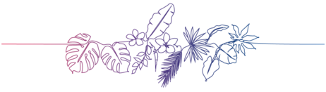 Mitten im Transition-Dschungel? Halb so wild.