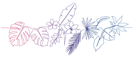 Mitten im Transition-Dschungel? Halb so wild.