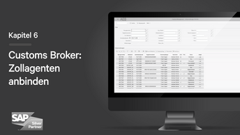 Zollagenten anbinden