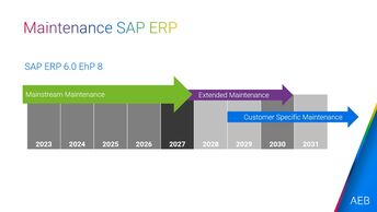 SAP ERP Maintenance